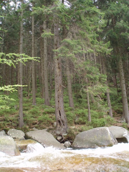 P5080181