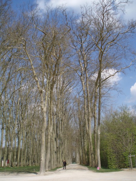 P4160337.JPG