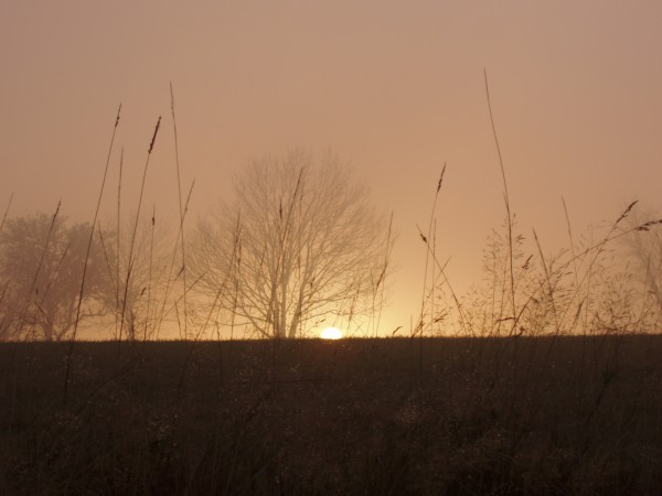 My foto (197).jpg