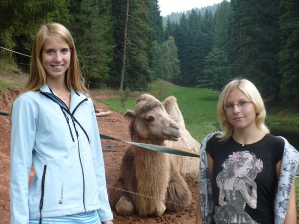Foto_026