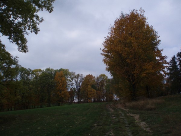 PA101030