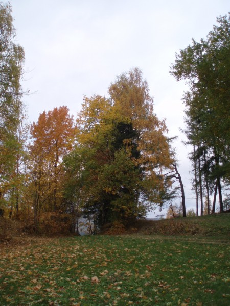 PA101033