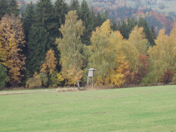 PA101053